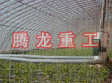 大棚花卉供暖設(shè)備、大棚卉采暖設(shè)備、大棚花卉取暖設(shè)備